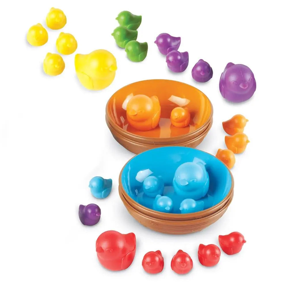 Birds in a Nest Sorting Set | The Dyslexia Shop