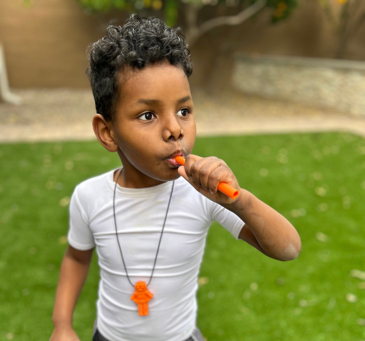 ARK Lips, Tongue, & Inside Cheek Pack — 3 Small Chews