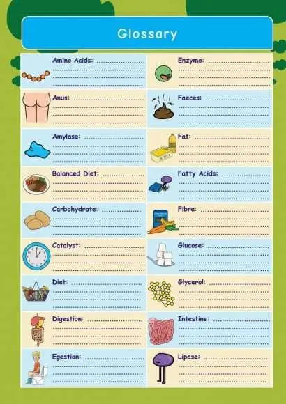 CE/KS3 Biology: Food & Digestion - Topic Pack | The Dyslexia Shop