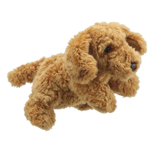 Cockapoo – Full-Bodied | The Dyslexia Shop