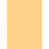 Crossbow A4 Coloured Overlays | The Dyslexia Shop