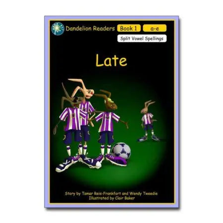 Dandelion Readers, Split Vowel Spellings Set | The Dyslexia Shop