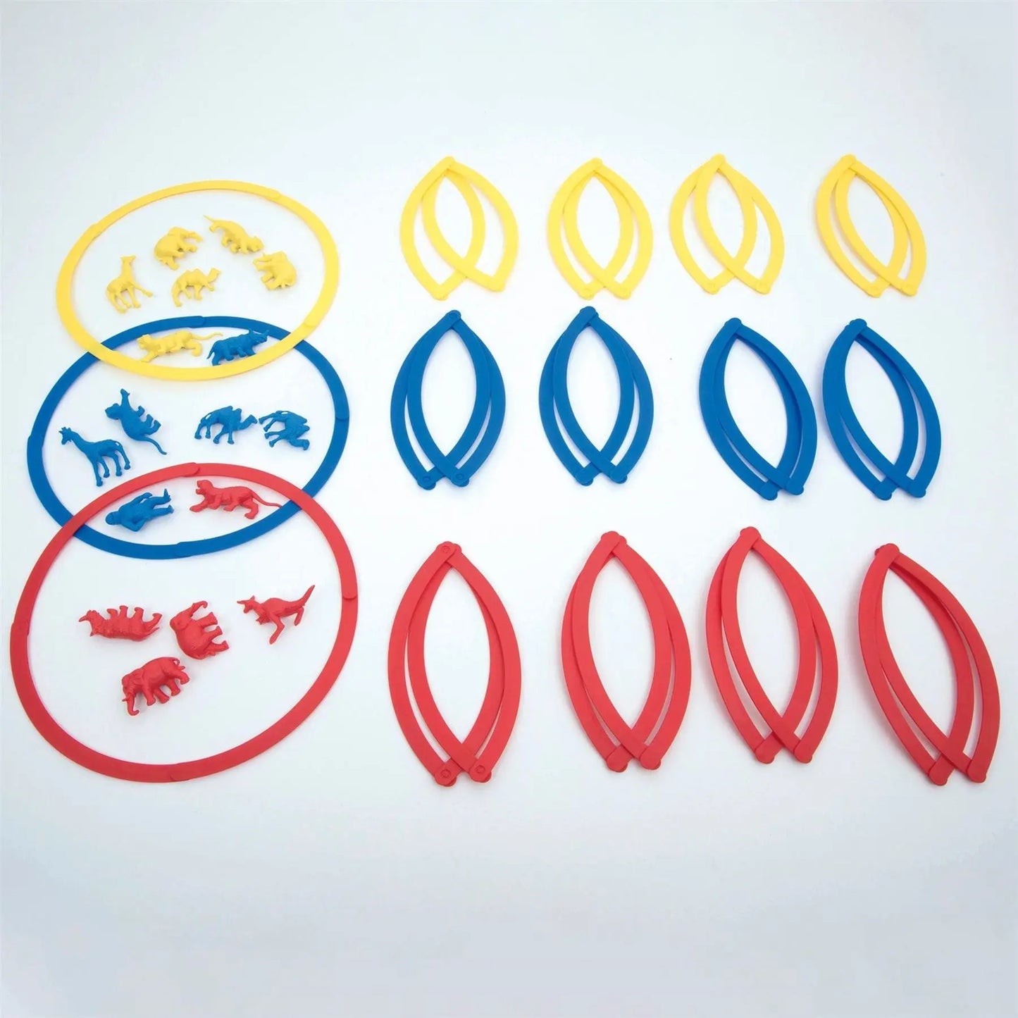 Desktop sorting Circles | The Dyslexia Shop