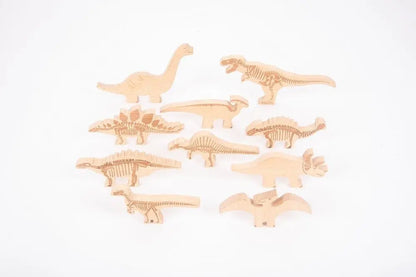 Discovery Jurassic bundle | The Dyslexia Shop