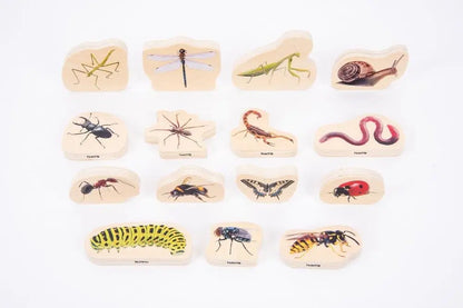 Discovery Jurassic bundle | The Dyslexia Shop