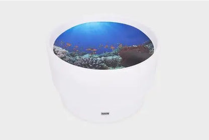 Discovery table & under the sea mat | The Dyslexia Shop