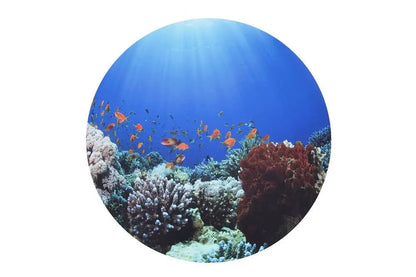 Discovery table & under the sea mat | The Dyslexia Shop