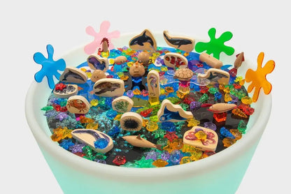 Discovery table sea bundle | The Dyslexia Shop