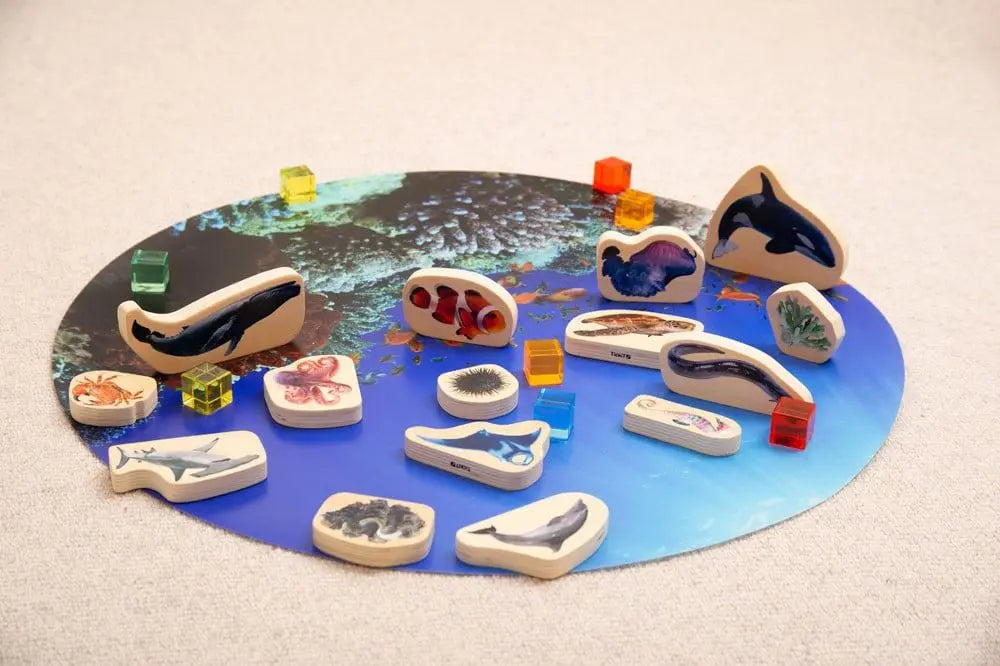 Discovery table sea bundle | The Dyslexia Shop