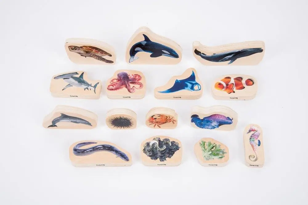 Discovery table sea bundle | The Dyslexia Shop