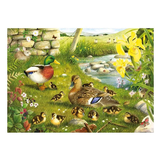 Ducks To Water BIG 500 Puzzle | The Dyslexia Shop