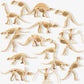 Fascinating Dinosaur Fossils | The Dyslexia Shop