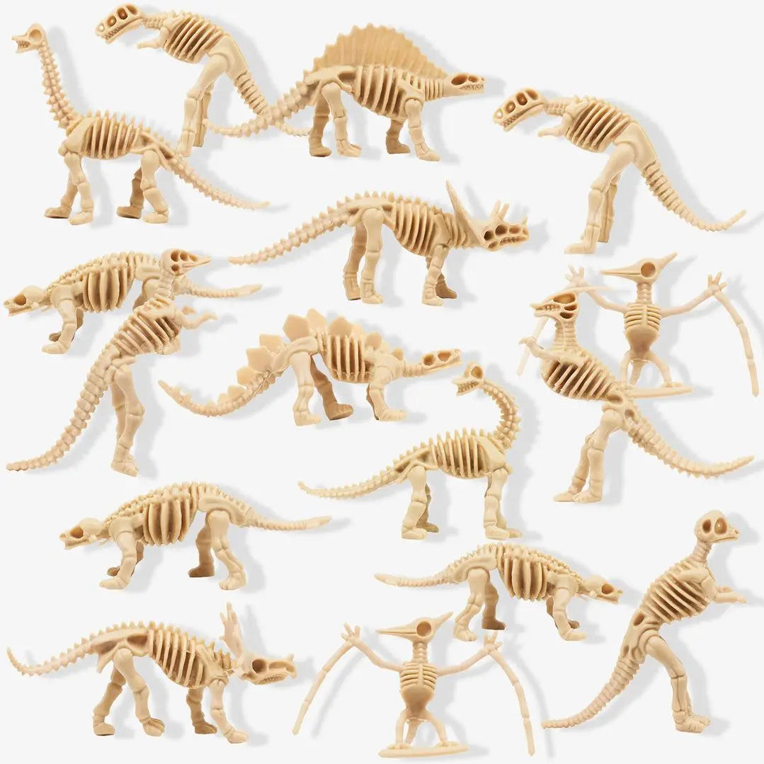 Fascinating Dinosaur Fossils | The Dyslexia Shop
