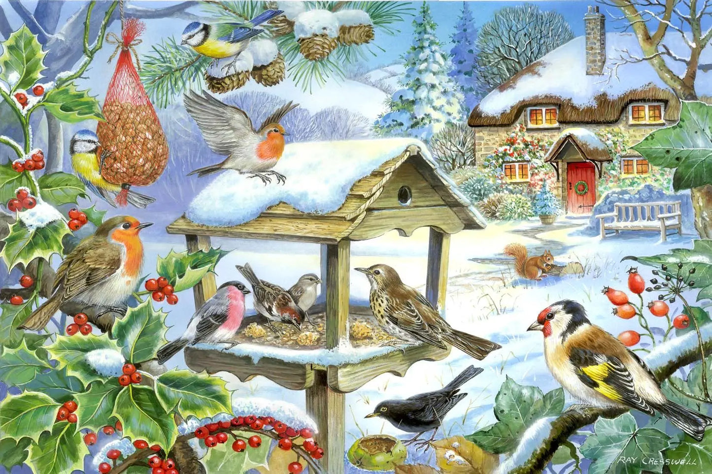 Feed The Birds BIG 250 Puzzle | The Dyslexia Shop