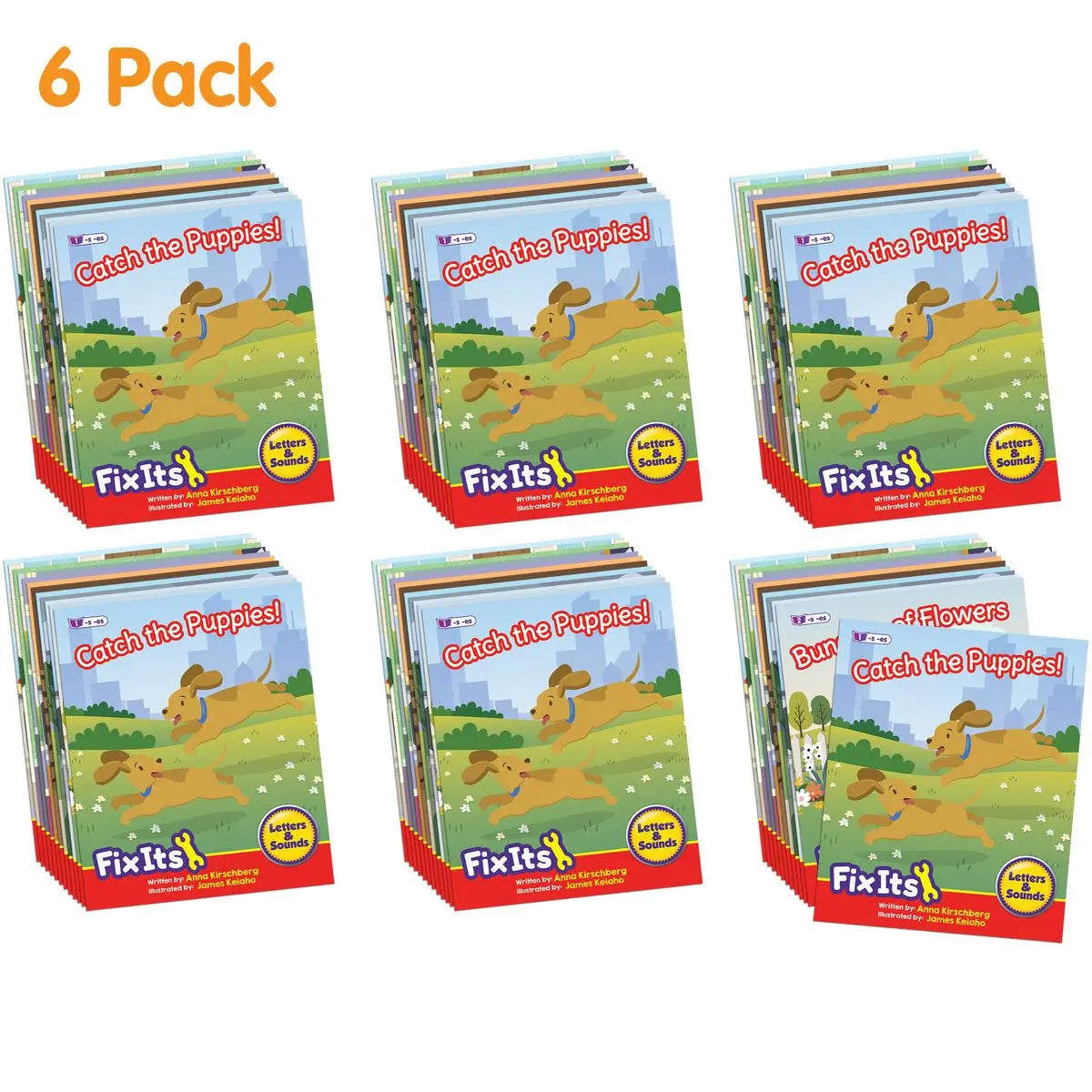 Fix Its Suffixes Fiction Phase 6 - 6 pack | The Dyslexia Shop