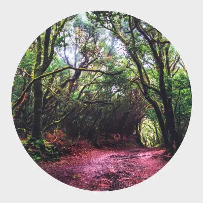 Forest Discovery Play Mat | The Dyslexia Shop
