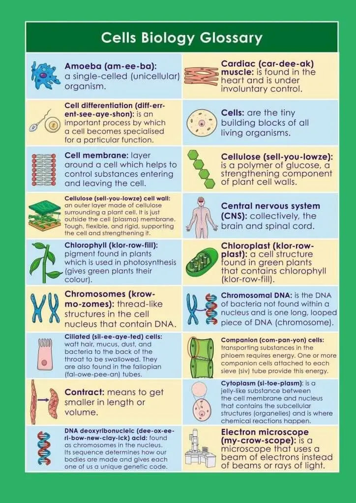 GCSE/KS4 Biology: Cell Biology - Topic Pack | The Dyslexia Shop