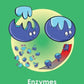 GCSE/KS4 Biology: Enzymes - Topic Pack | The Dyslexia Shop