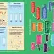 GCSE/KS4 Biology: Enzymes - Topic Pack | The Dyslexia Shop