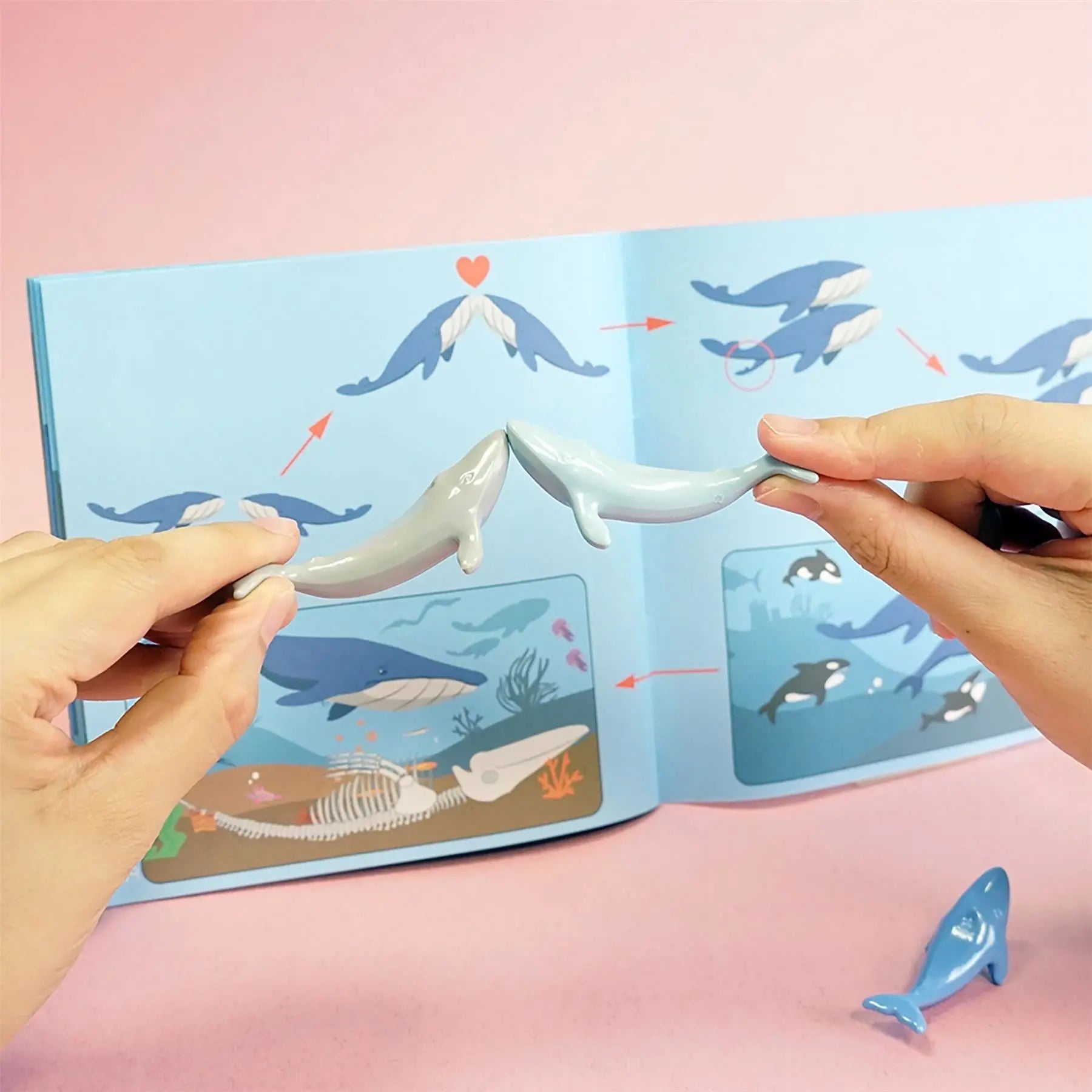 Green-n-Learn Whales Story Counters Set | The Dyslexia Shop