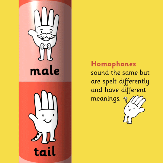 Homophone Pencil Box - Handy Spelling