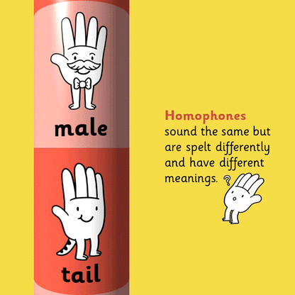 Homophone Pencil Box - Handy Spelling