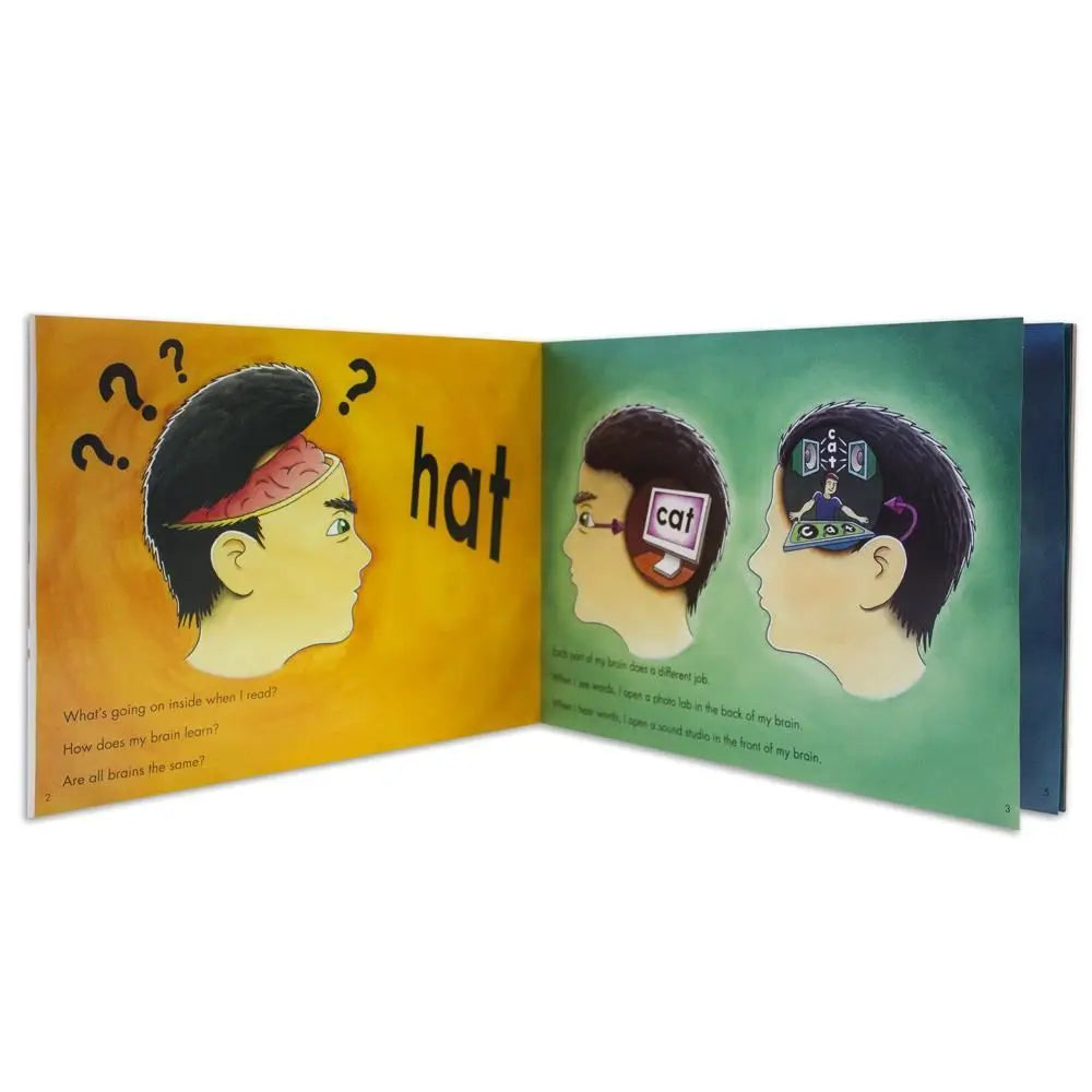 How My Brain Learns to Read | The Dyslexia Shop