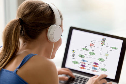 Inspiration 11 for Windows | The Dyslexia Shop