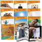 Letters & Sounds Phase 2 Set 1 Non-Fiction - 6 Pack | The Dyslexia Shop