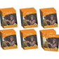 Letters & Sounds Phase 2 Set 2 Non-Fiction - 6 Pack | The Dyslexia Shop