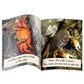 Letters & Sounds Phase 4 Set 1 Non-Fiction - 6 Pack | The Dyslexia Shop