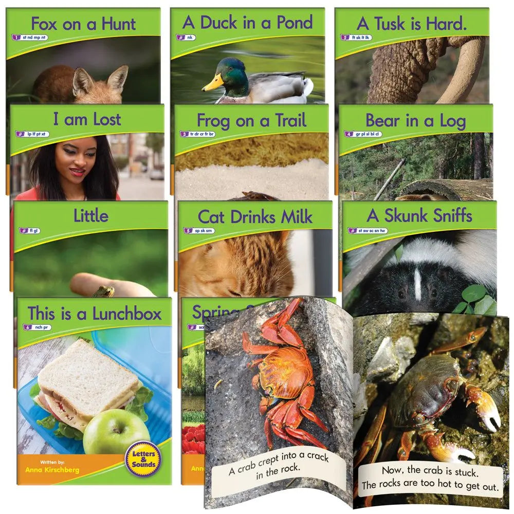 Letters & Sounds Phase 4 Set 1 Non-Fiction - 6 Pack | The Dyslexia Shop