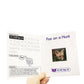 Letters & Sounds Phase 4 Set 1 Non-Fiction | The Dyslexia Shop