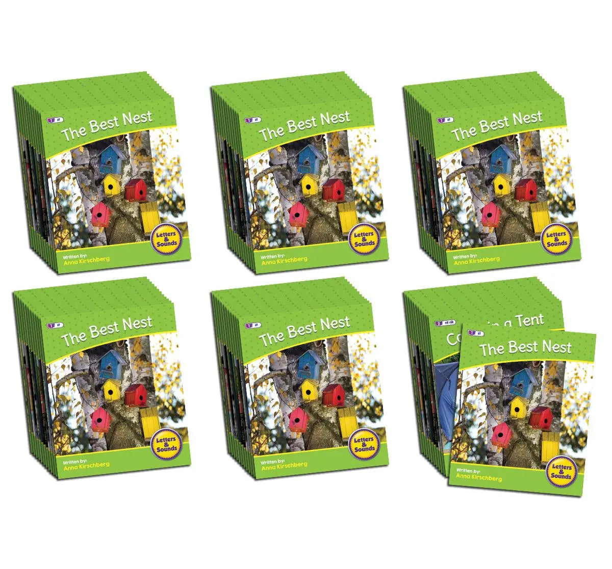 Letters & Sounds Phase 4 Set 2 Non-Fiction - 6 Pack | The Dyslexia Shop