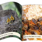 Letters & Sounds Phase 4 Set 2 Non-Fiction - 6 Pack | The Dyslexia Shop