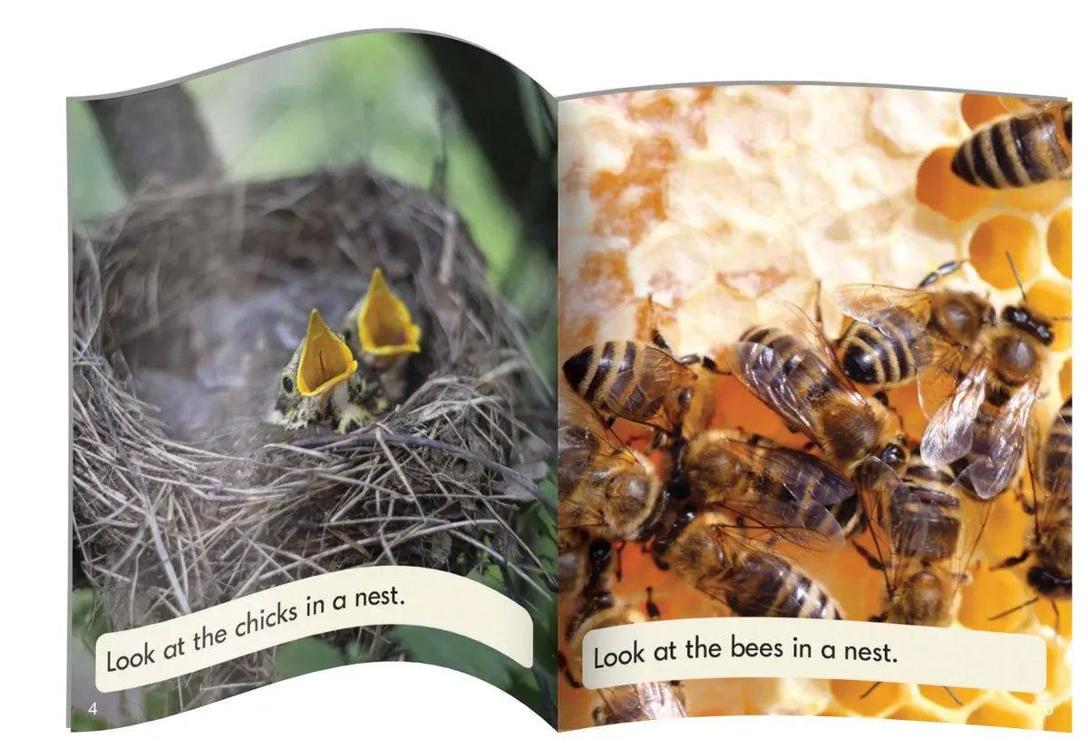 Letters & Sounds Phase 4 Set 2 Non-Fiction - 6 Pack | The Dyslexia Shop