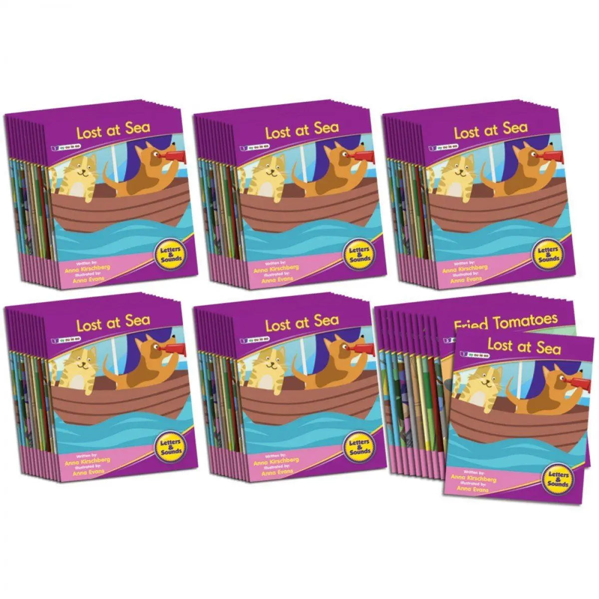 Letters & Sounds Phase 5 Set 1 Fiction - 6 Pack | The Dyslexia Shop