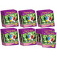 Letters & Sounds Phase 5 Set 1 Non-Fiction - 6 Pack | The Dyslexia Shop
