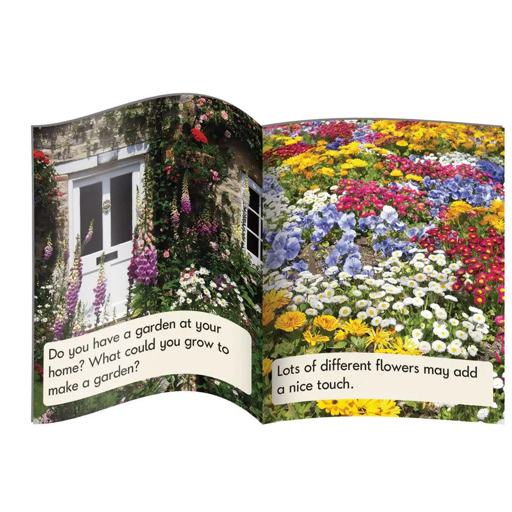Letters & Sounds Phase 5 Set 1 Non-Fiction - 6 Pack | The Dyslexia Shop