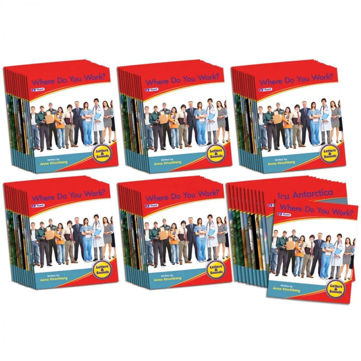 Letters & Sounds Phase 6 Set 1 Non-Fiction - 6 Pack | The Dyslexia Shop