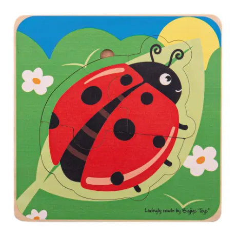 Lifecycle Layer Puzzle - Ladybug | The Dyslexia Shop