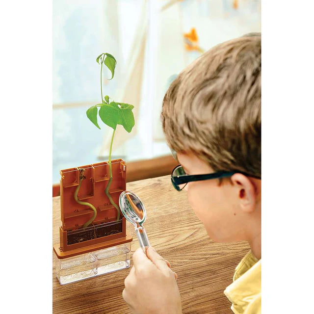 4M Green Science Grow-A-Maze Kit - Plant Science Toy Age 5+