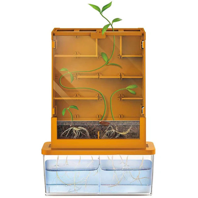 4M Green Science Grow-A-Maze Kit - Plant Science Toy Age 5+