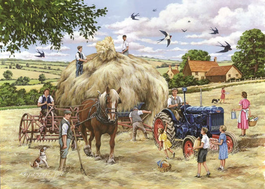 Making Hay BIG 500 Puzzle | The Dyslexia Shop