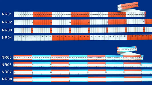 Number Roll 1 (1-100 Numbered Track) | The Dyslexia Shop