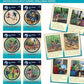 Phonic Books Moon Dogs Split Vowel Spellings – 6-Book Decodable Series for Older Readers | The Dy...