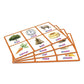 Rhyming Bingo | The Dyslexia Shop
