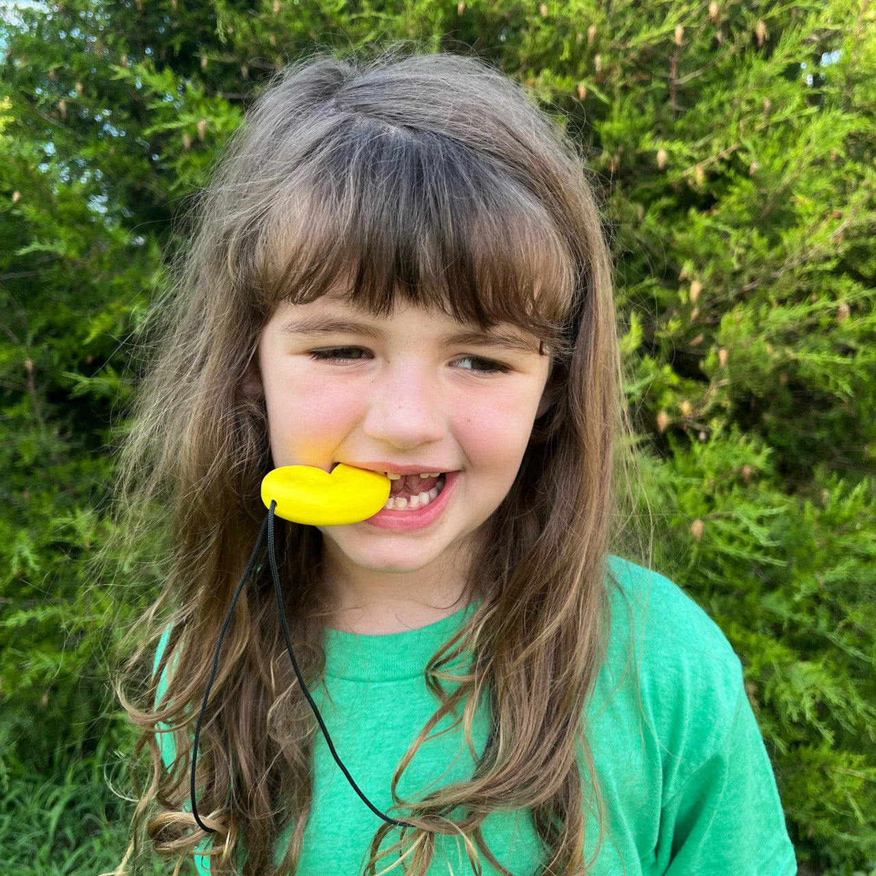 ARK Super Chewer Fairytale Pack — 4 Robust Chews