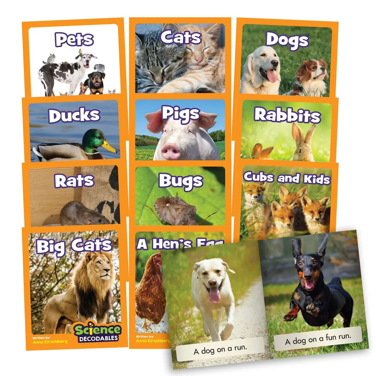 Science Decodables Phase 2 Non-Fiction - 6 Pack | The Dyslexia Shop