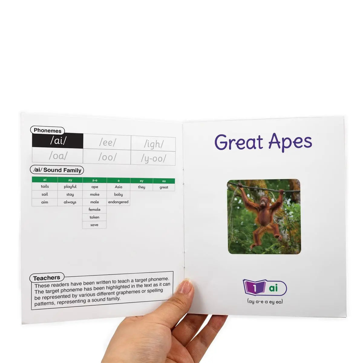 Sound Families Long Vowels Non-Fiction Phase 5.5 | The Dyslexia Shop